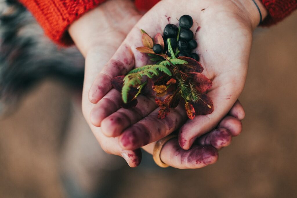 Close-up of a pair of hands gently cupping a small, green seedling, symbolizing growth, care, and protecting a valuable as...